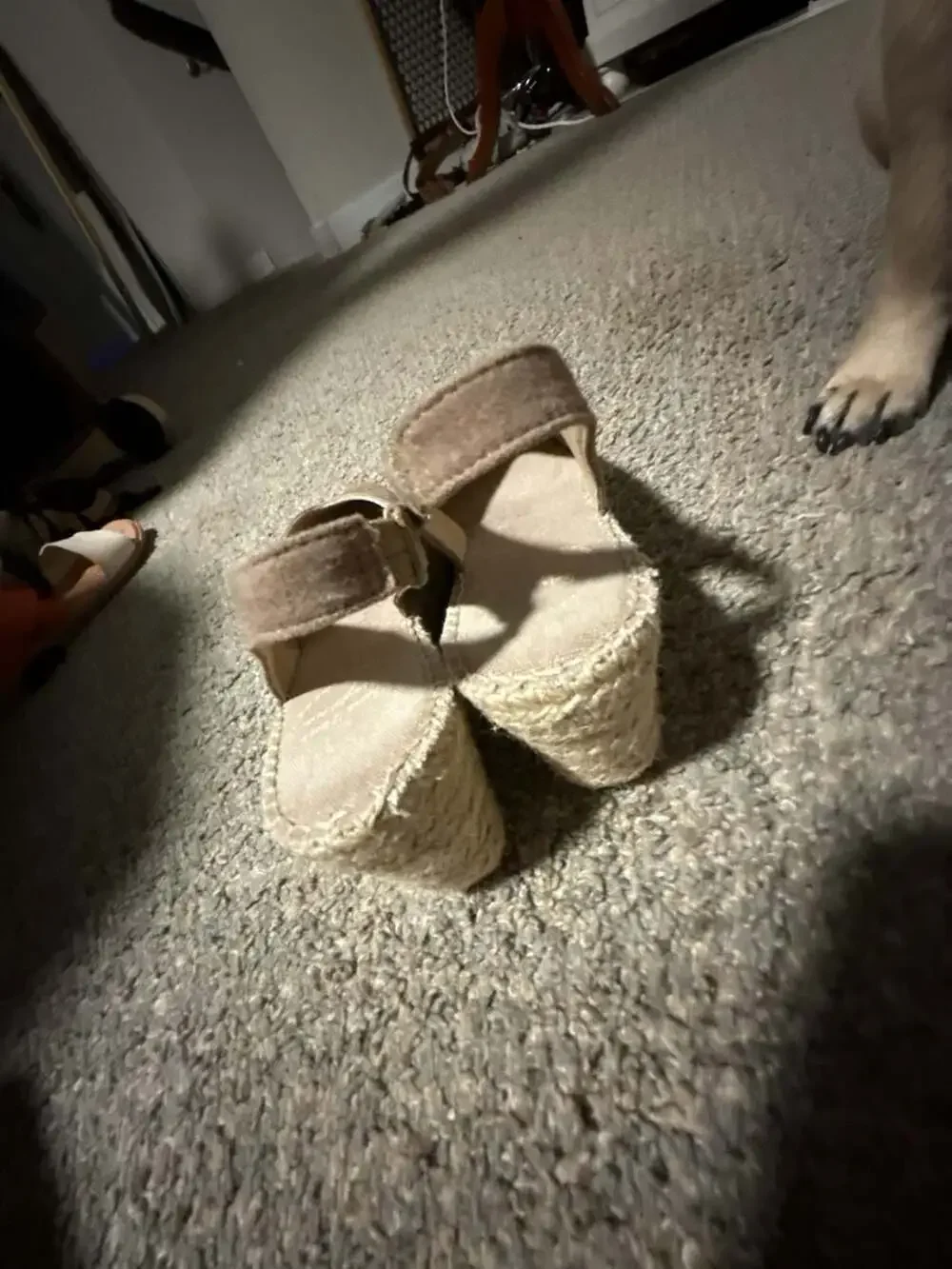 Toni Pons Suede Slingback Wedge Espadrilles